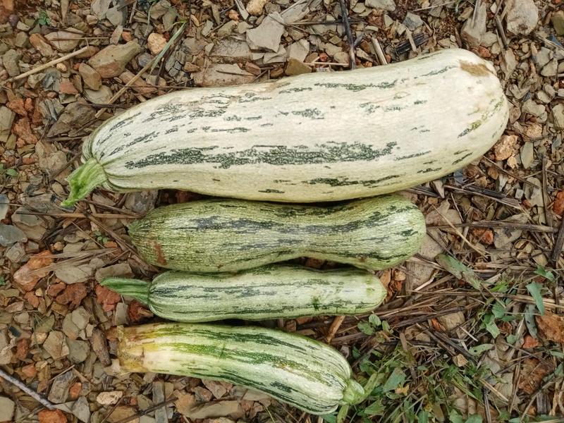 3 Bedroom Property for Sale in Oudtshoorn Rural Western Cape